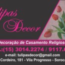 Tulipas Decor