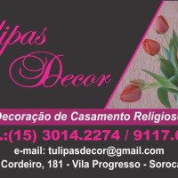 Tulipas Decor